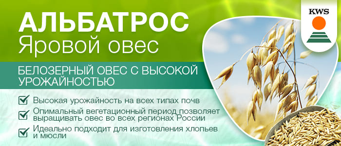 KWS АЛЬБАТРОС